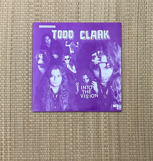 todd clark - into the vision
