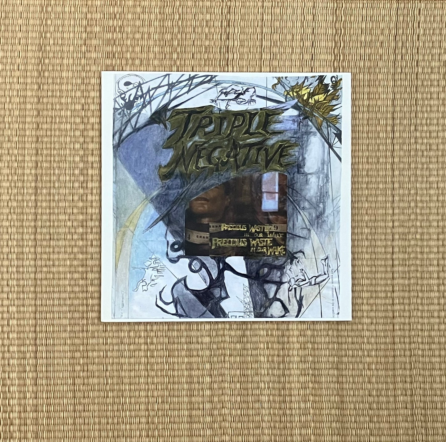 triple negative - precious waste in our wake