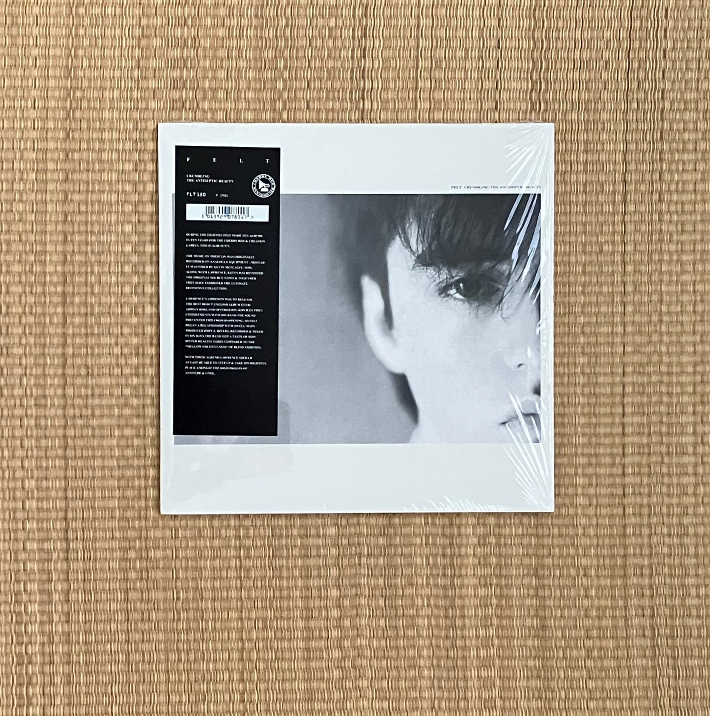 felt - crumbling the antiseptic beauty