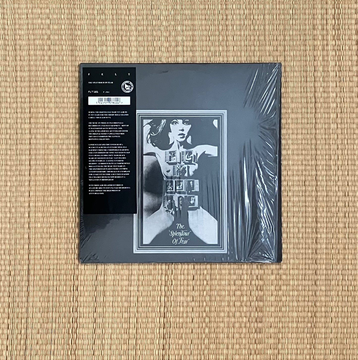 felt - the splendour of fear