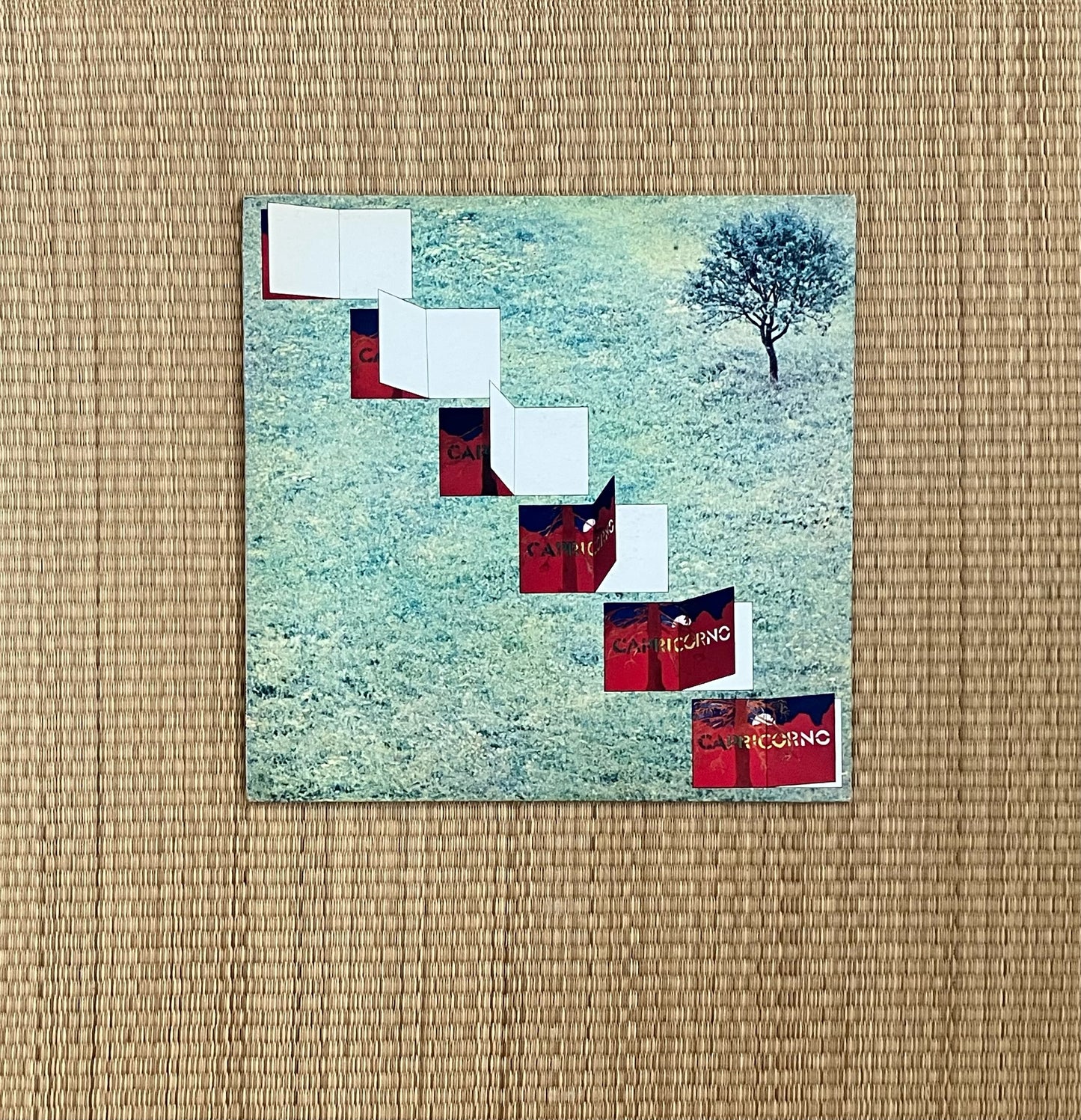 capricorno - s/t
