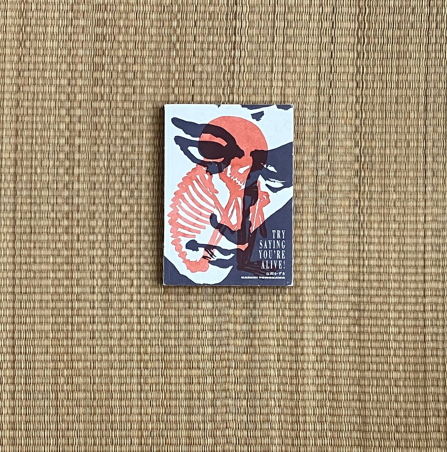 kazuki tomokawa - try saying you're alive!: kazuki tomokawa in his own words