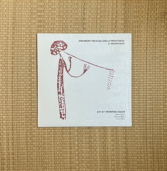 art of primitive sound - strumenti musicali della preistoria: il paleolitico