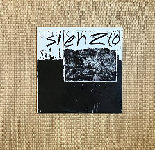 v/a - unexpected silenzio