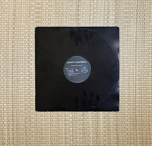 v/a - welcome to the future e.p.