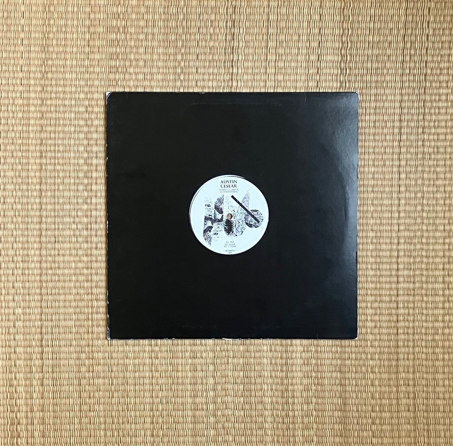 austin cesear - there's a crack in everything