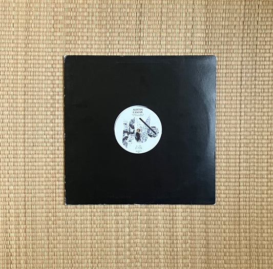 austin cesear - there's a crack in everything