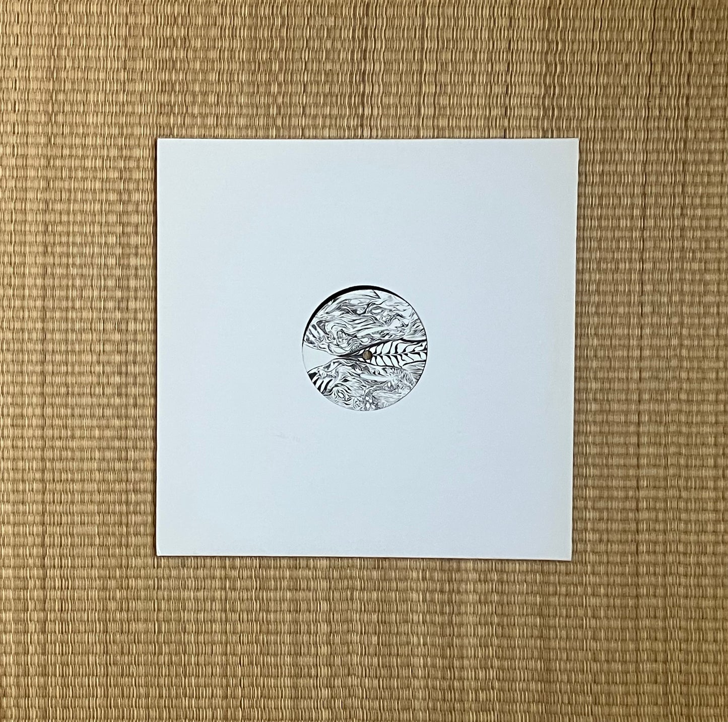 madteo - strumpetocracy