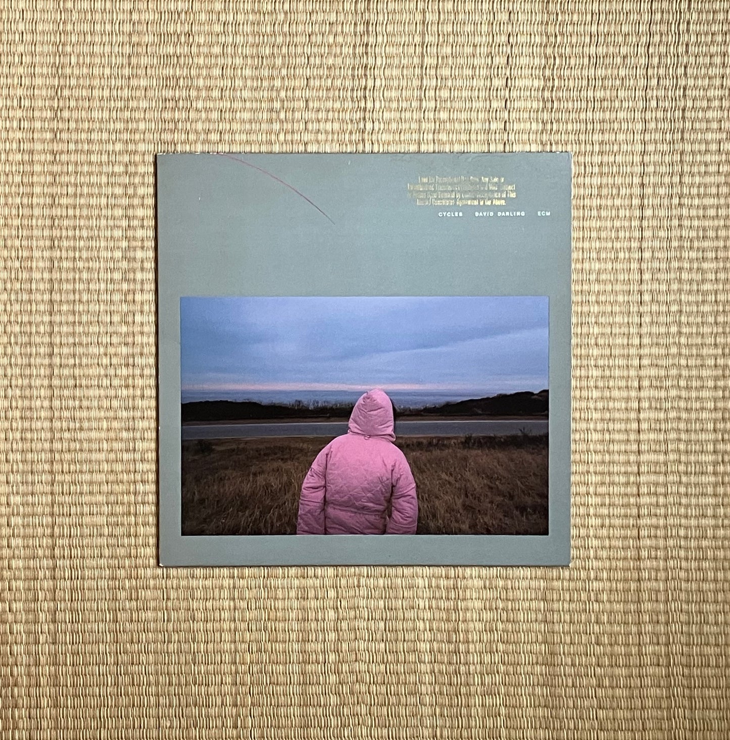david darling - cycles