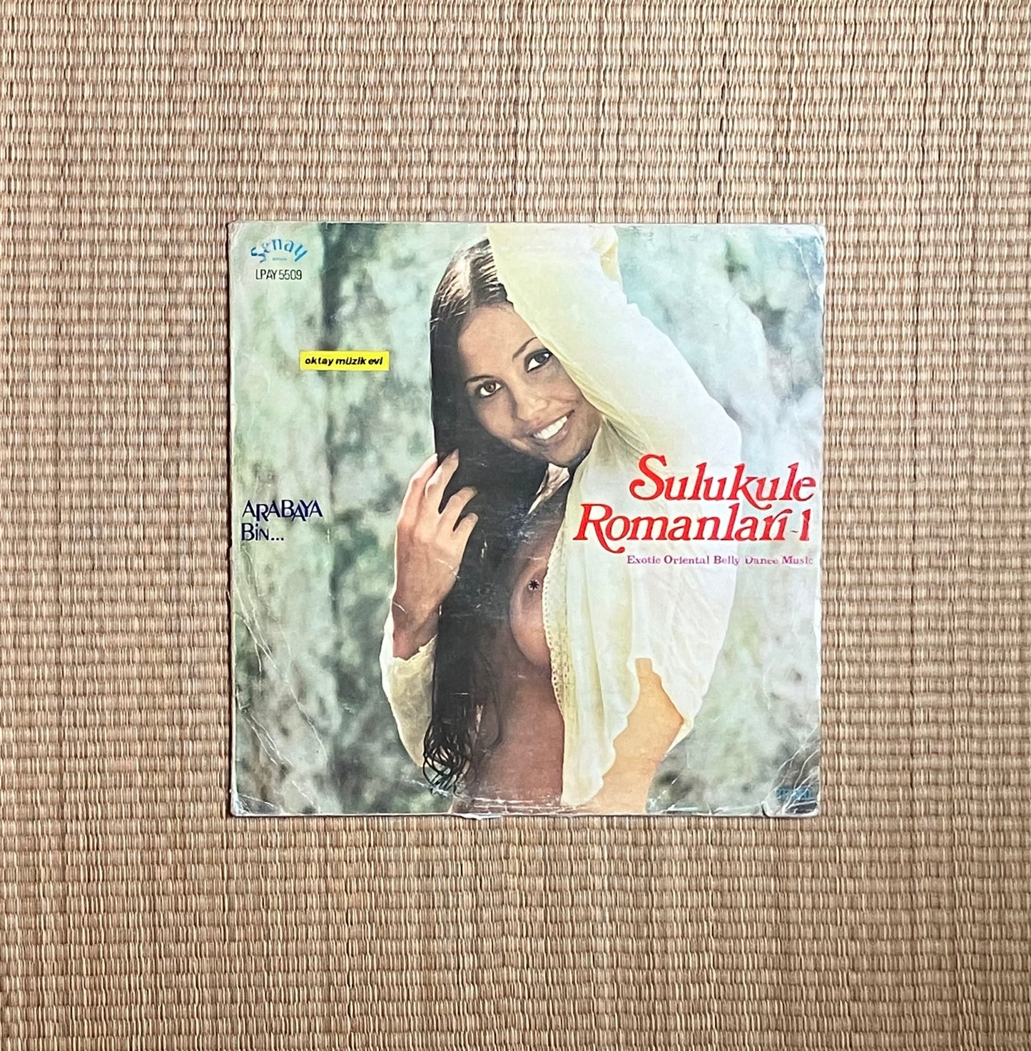 unknown artist - sulukule romanları - 1 (arabaya bin...)