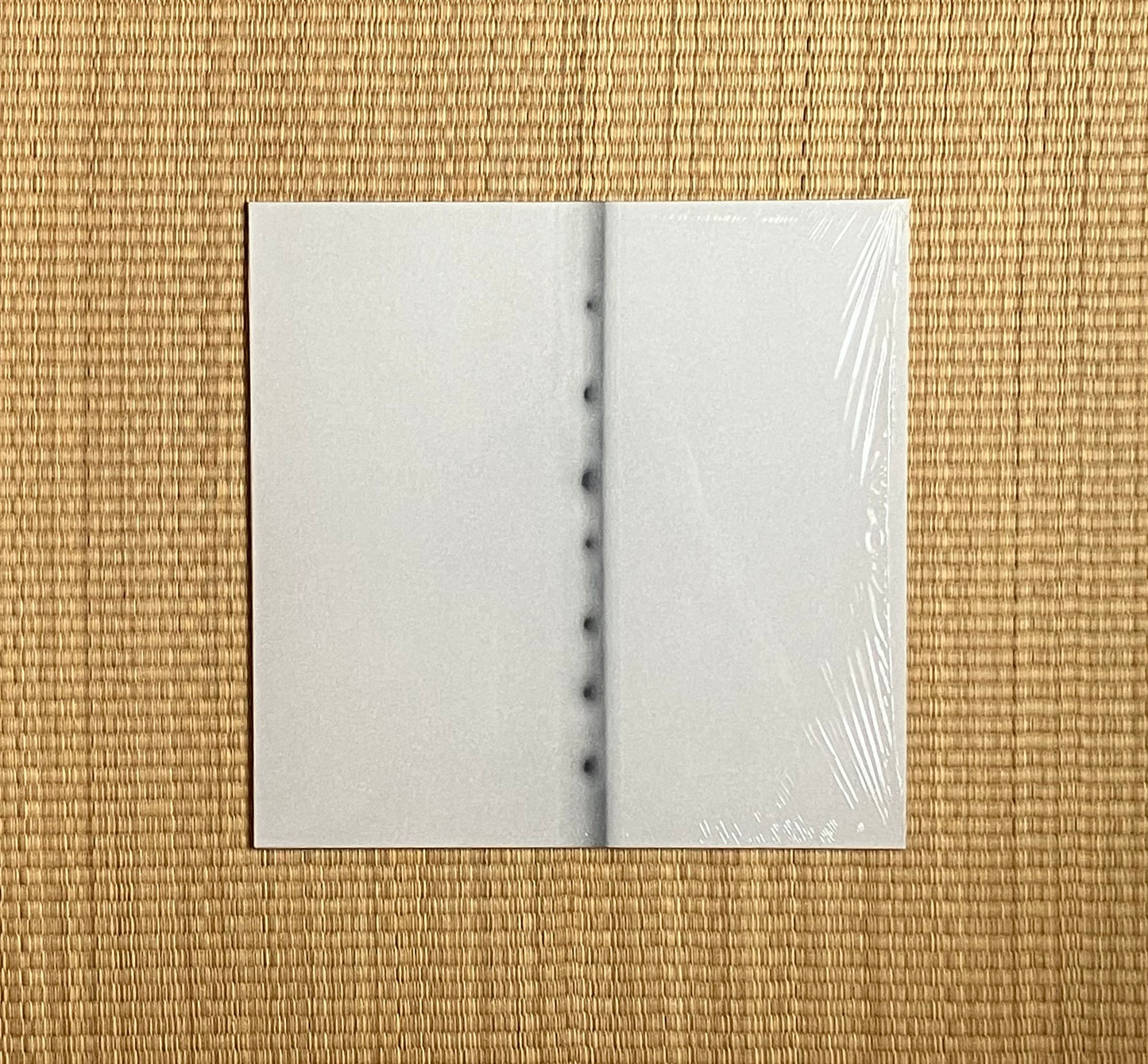 rai tateishi - presence