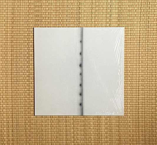 rai tateishi - presence