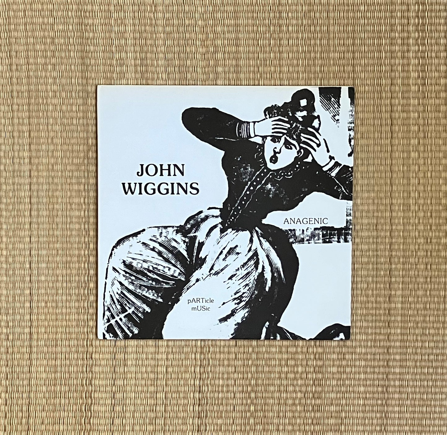 john wiggins - anagenic & particle music