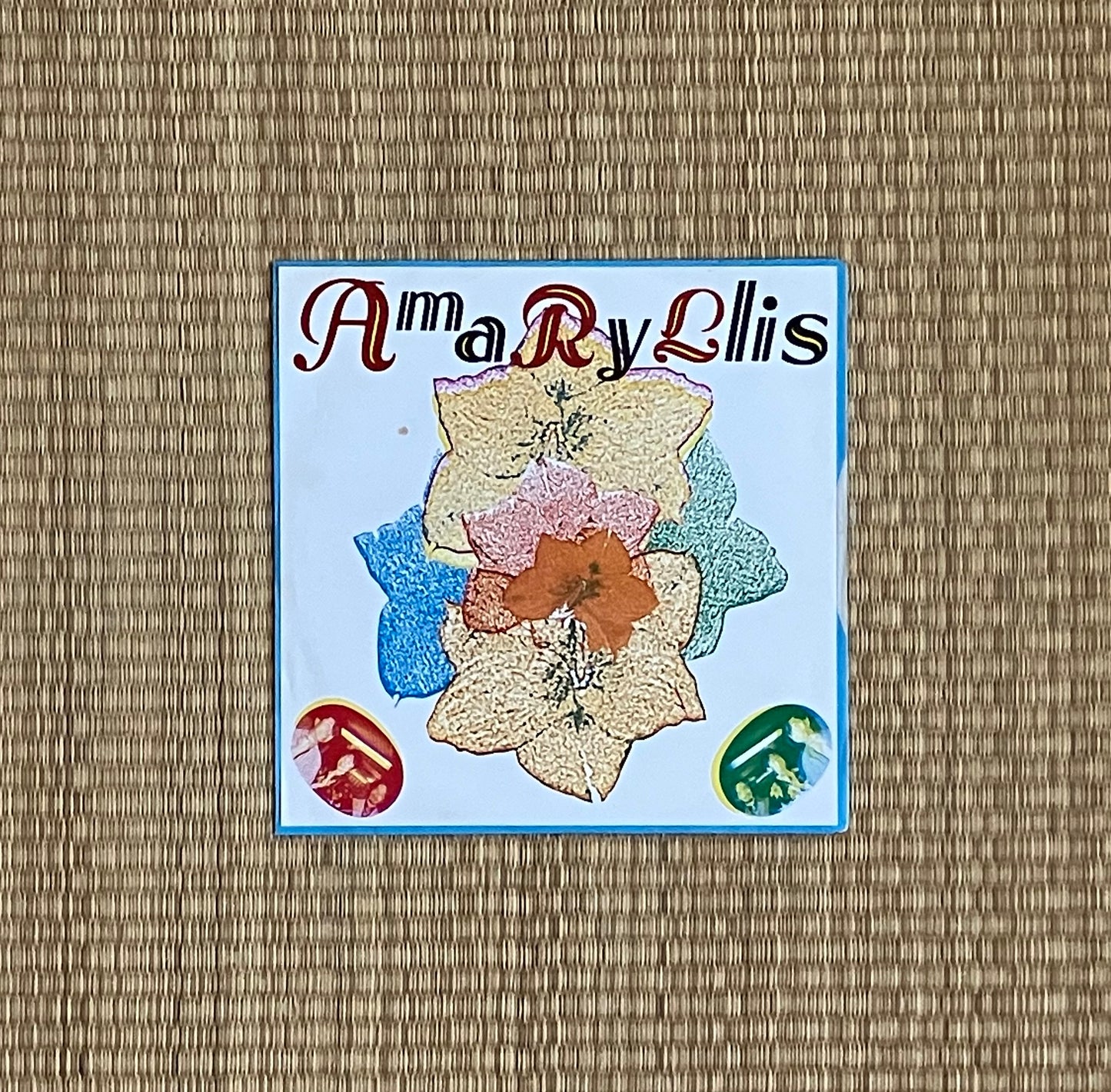 amaryllis - 母