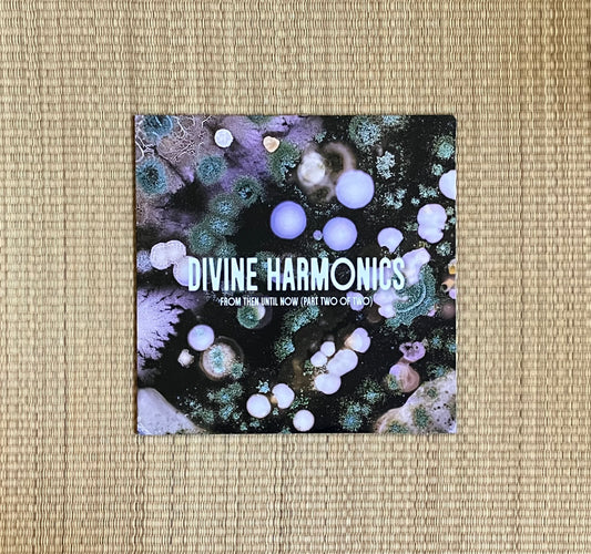 kuniyuki takahashi, joaquin joe claussell - divine harmonics - from then until now (part two of two)