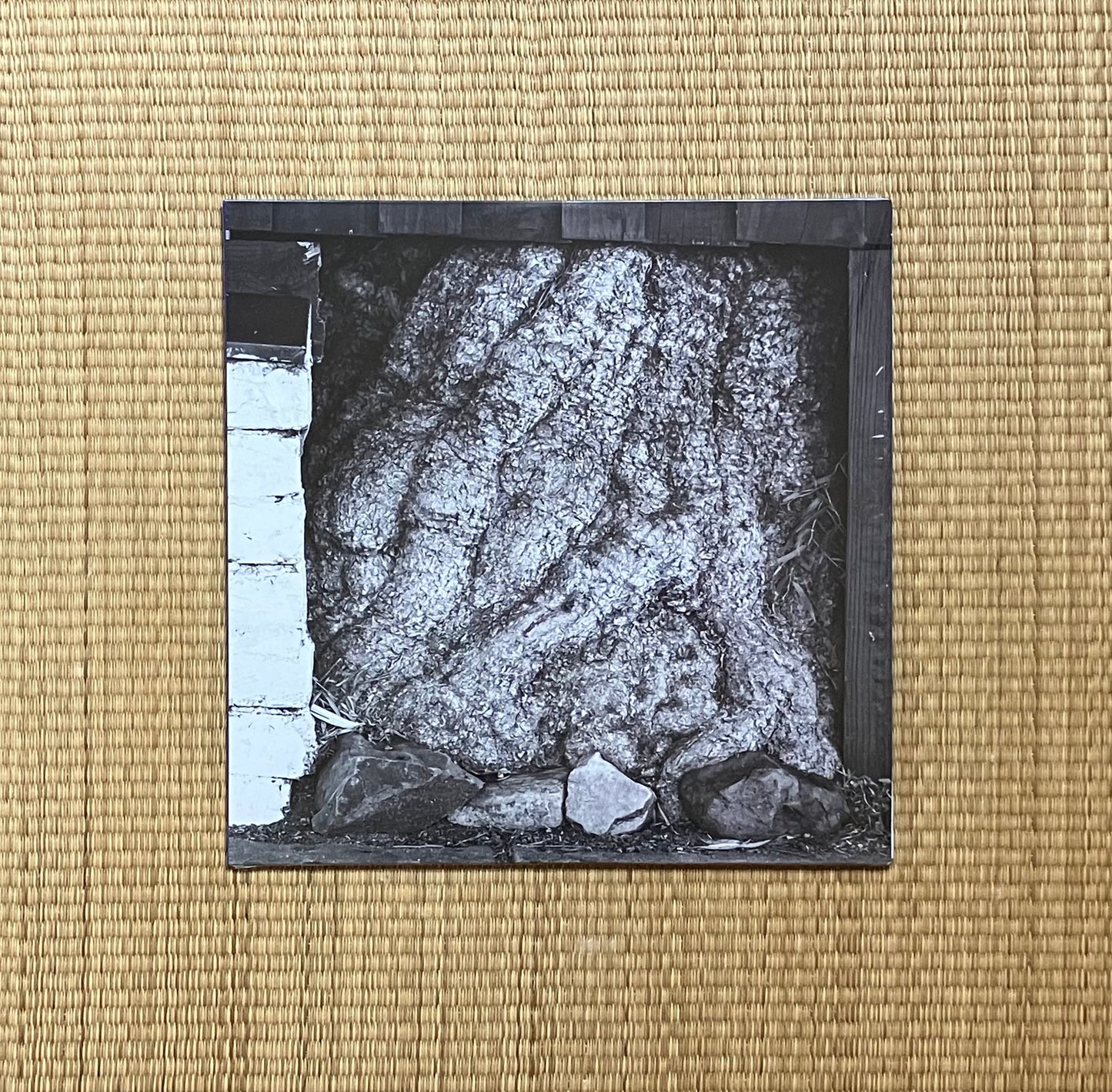 urchyn - low lying plains