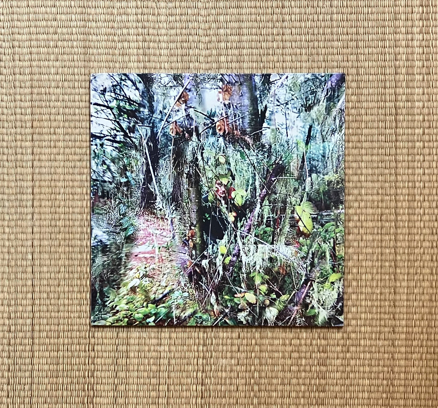 hiele - s/t