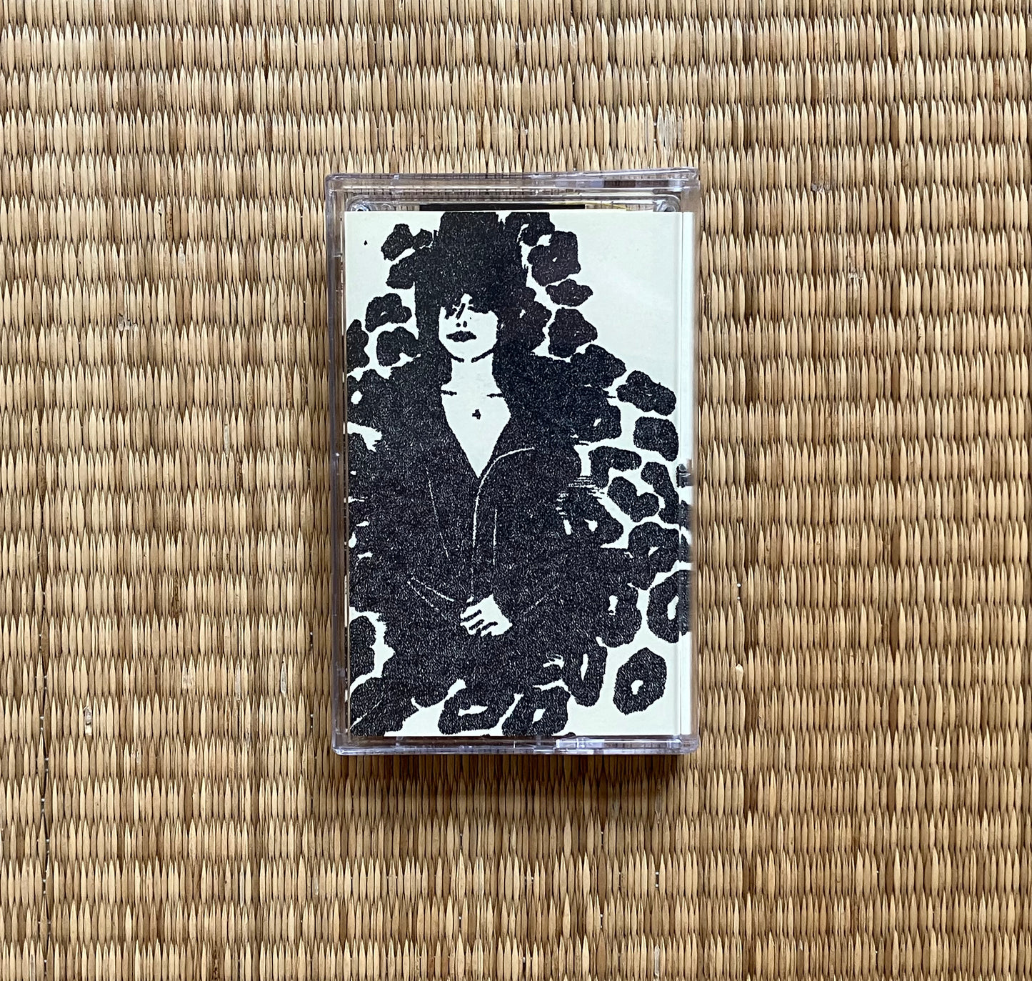 hessel veldman & nick nicole - the s.m. tape