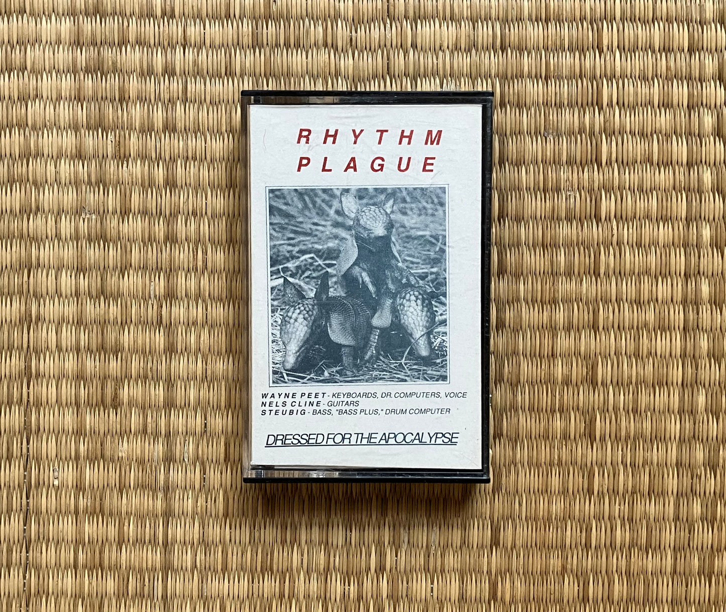 rhythm plague - dressed for the apocalypse