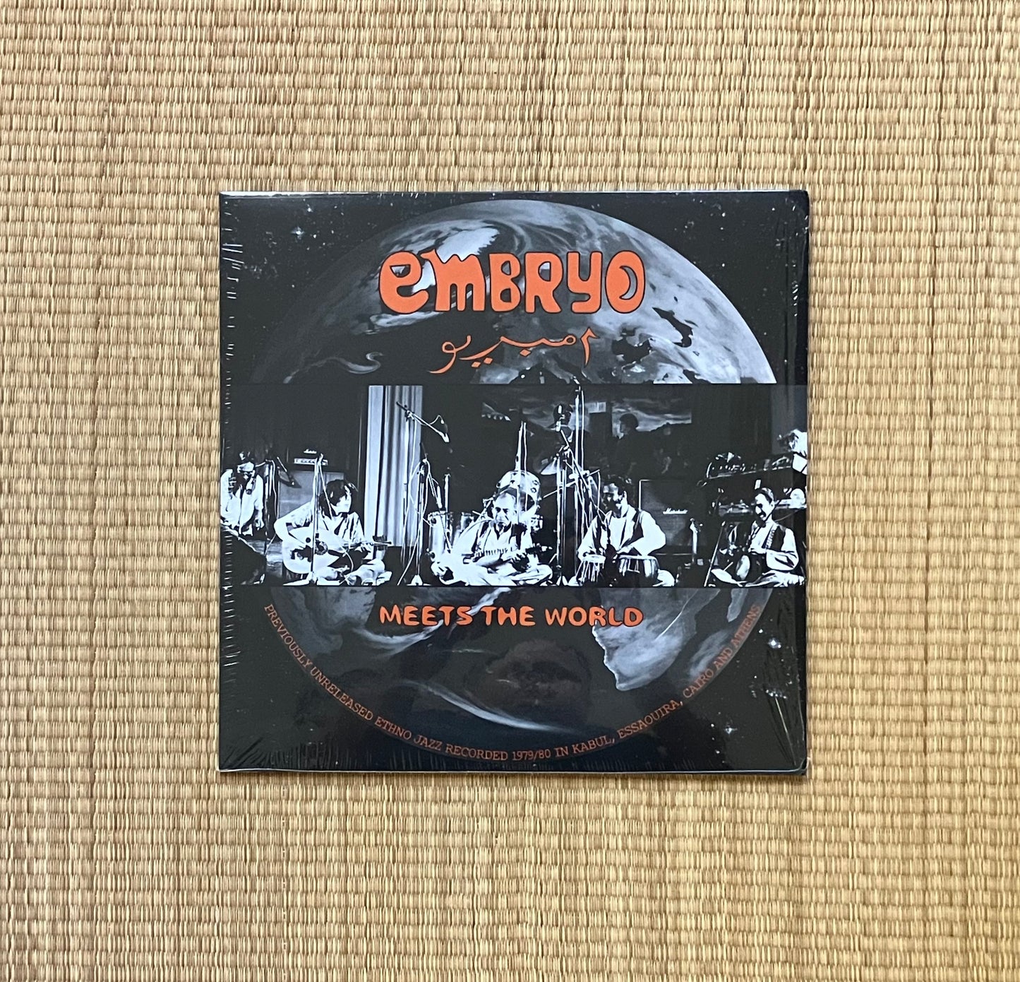 embryo - meets the world